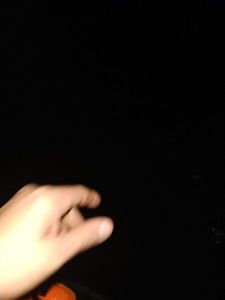 Largemouth Bass