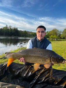 Common Carp