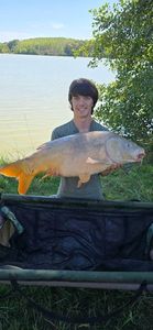 Mirror Carp