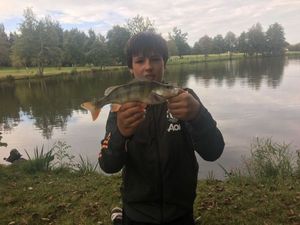European Perch