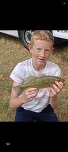 Largemouth Bass