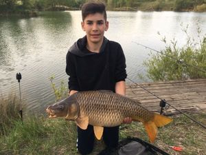 Common Carp