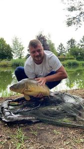 Mirror Carp