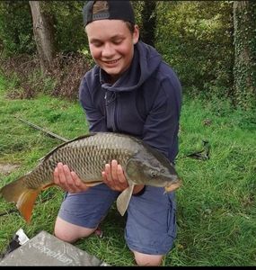 Common Carp