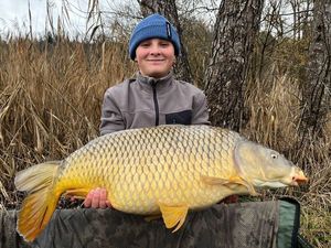 Common Carp