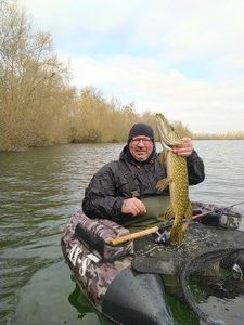 Northern Pike