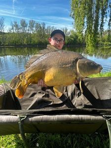 Mirror Carp