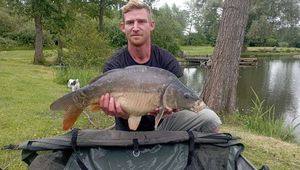 Mirror Carp