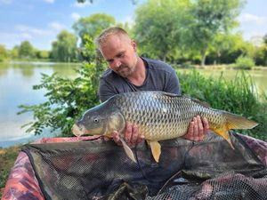 Common Carp