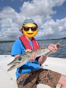 Great Barracuda