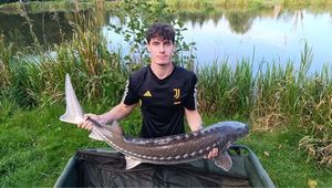 Sturgeon