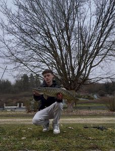 Northern Pike