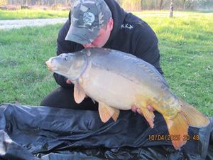 Mirror Carp