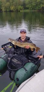 Northern Pike