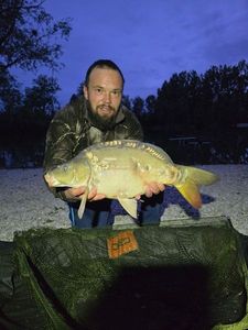 Mirror Carp