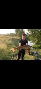 Zander