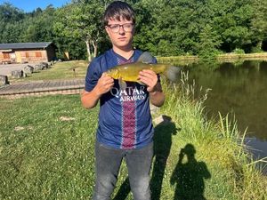 Tench