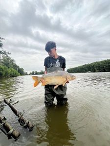 Mirror Carp