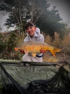 Koï Fish