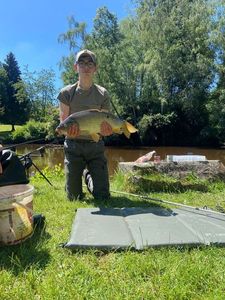 Mirror Carp