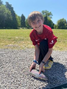 Brown Trout