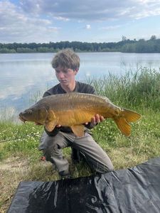 Leather Carp