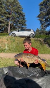 Common Carp