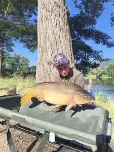 Mirror Carp