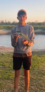 Largemouth Bass