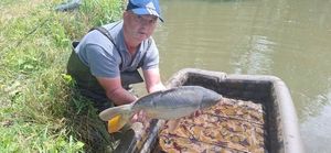 Mirror Carp