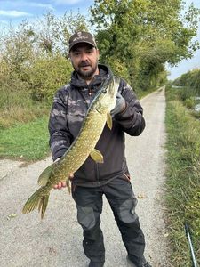 Northern Pike