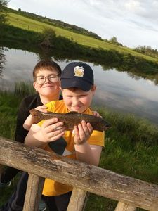 Rainbow Trout