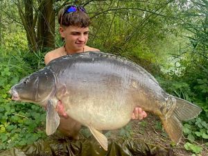 Mirror Carp