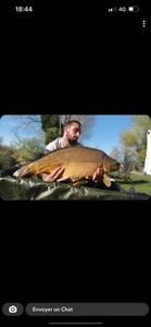 Leather Carp