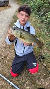 Largemouth Bass