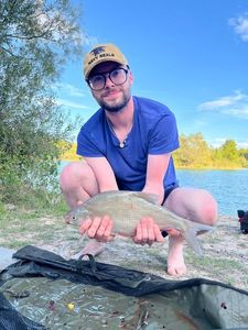 Common Bream