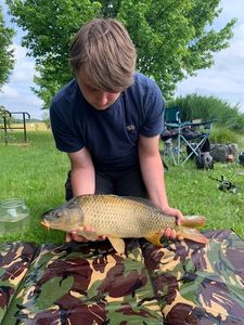Common Carp