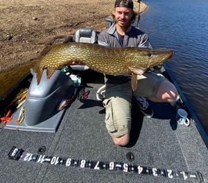 Northern Pike