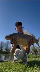 Mirror Carp