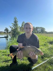 Common Bream