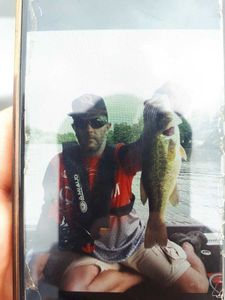 Largemouth Bass