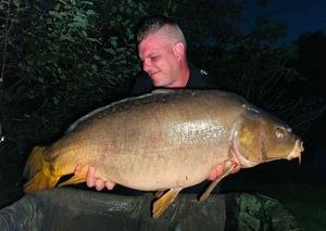Mirror Carp