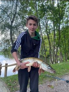 Northern Pike