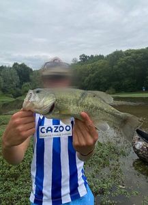 Largemouth Bass
