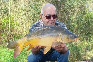 Mirror Carp