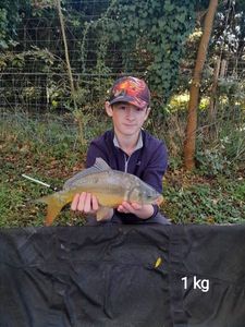 Mirror Carp