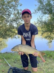 Silver Carp