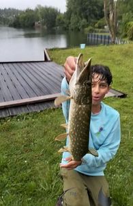 Northern Pike
