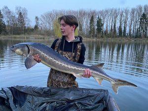 Sturgeon