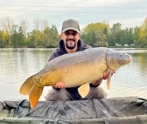Mirror Carp